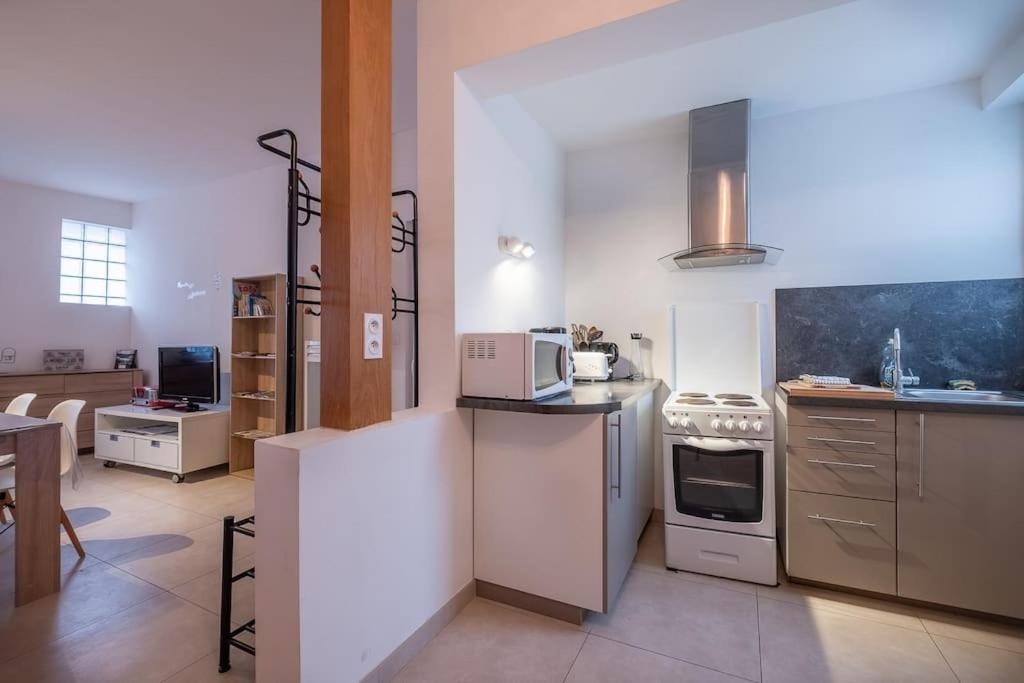 Le Dauphin Apartment Amboise Exterior foto